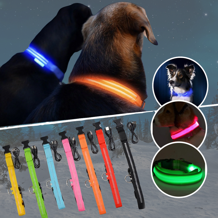 LED Hundehalsband