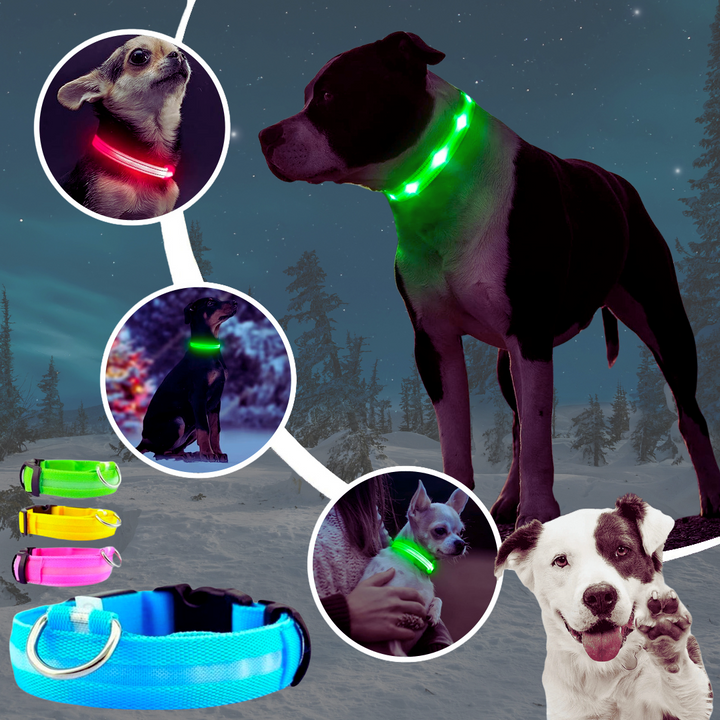 LED Hundehalsband