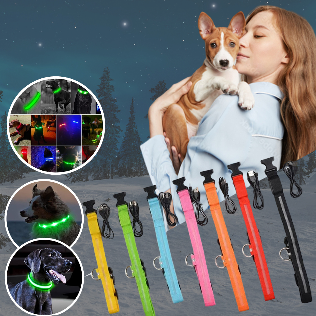 LED Hundehalsband