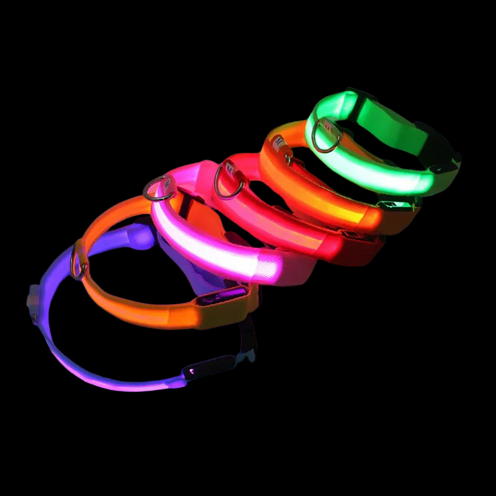 LED Hundehalsband